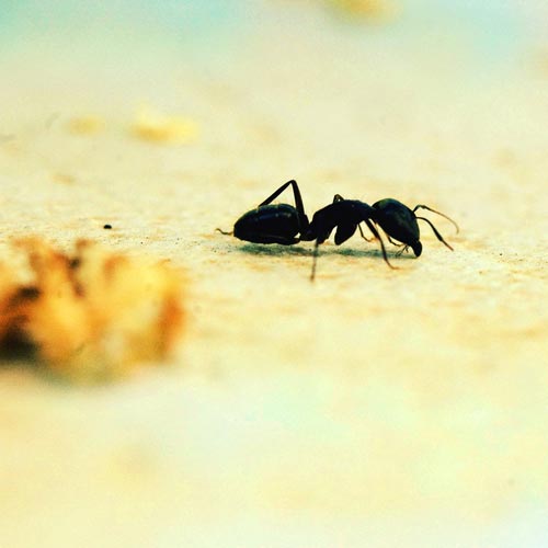 Mebilia Photography
