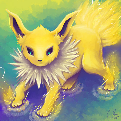 Shiropanda Illustrations