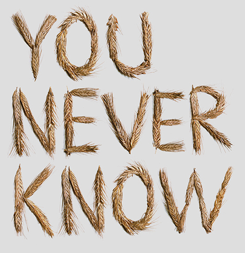 Stunning Hand Made Font By HMF