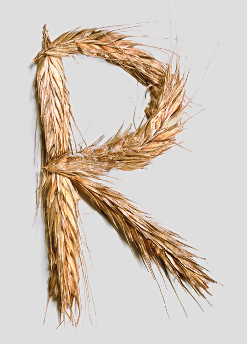 Stunning Hand Made Font By HMF