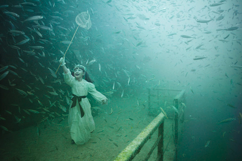 Underwater Art Exhibition by staudinger and Andreas Underwater Art Exhibition by staudinger and Andreas