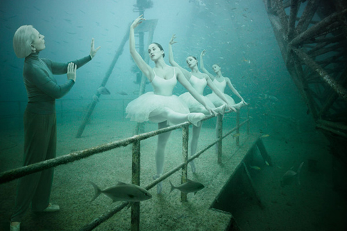 Underwater Art Exhibition by staudinger and Andreas Underwater Art Exhibition by staudinger and Andreas