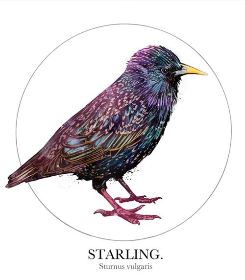 Concept Illustrations by Chris King