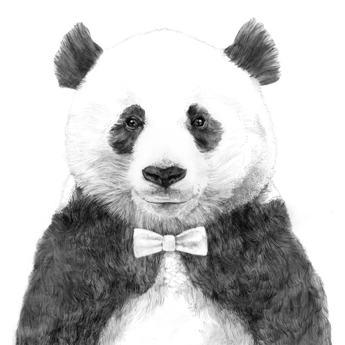 Stunning Illustrations by Jamie mitchell