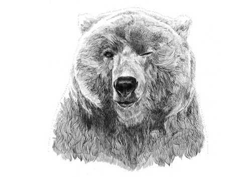 Stunning Illustrations by Jamie mitchell