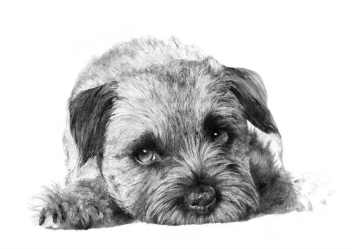 Stunning Illustrations by Jamie mitchell