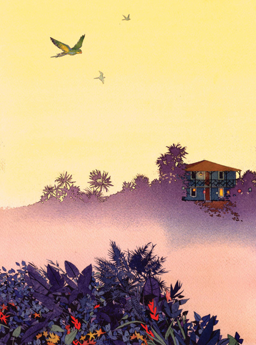 Calendars & Cards Illustrations by Yan Nascimbene