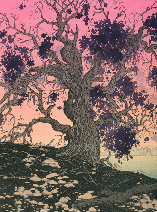 Calendars & Cards Illustrations by Yan Nascimbene