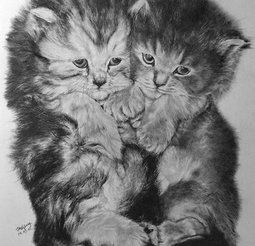 Pencil Sketches by Paul Lung