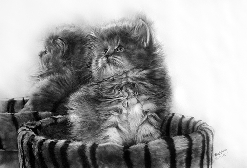 Pencil Sketches by Paul Lung