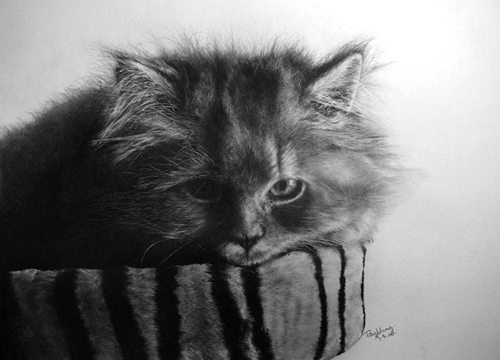 Pencil Sketches by Paul Lung