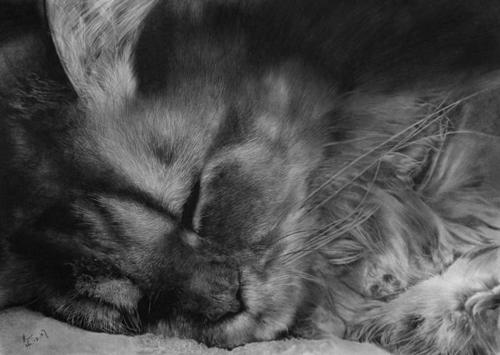 Pencil Sketches by Paul Lung