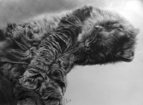Pencil Sketches by Paul Lung
