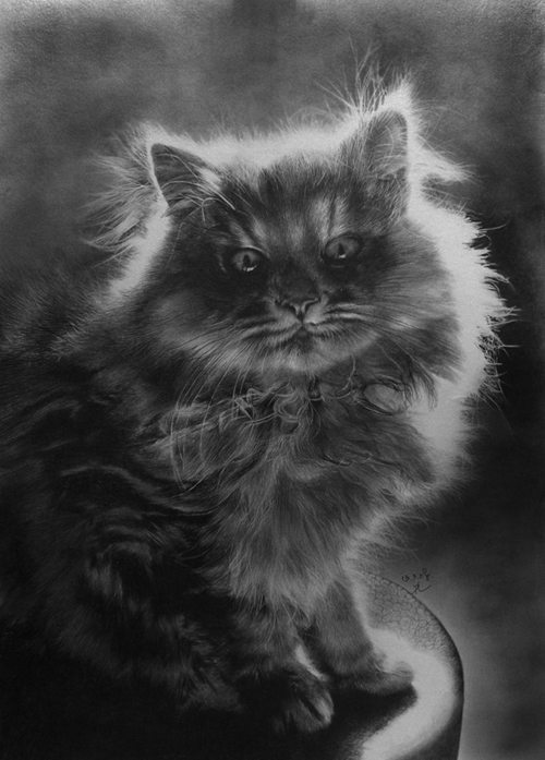 Pencil Sketches by Paul Lung