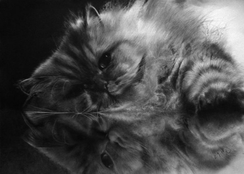 Pencil Sketches by Paul Lung