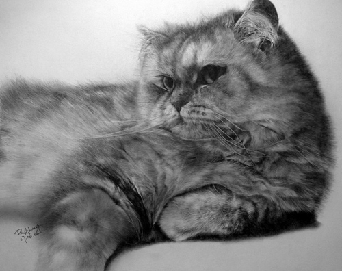 Pencil Sketches by Paul Lung