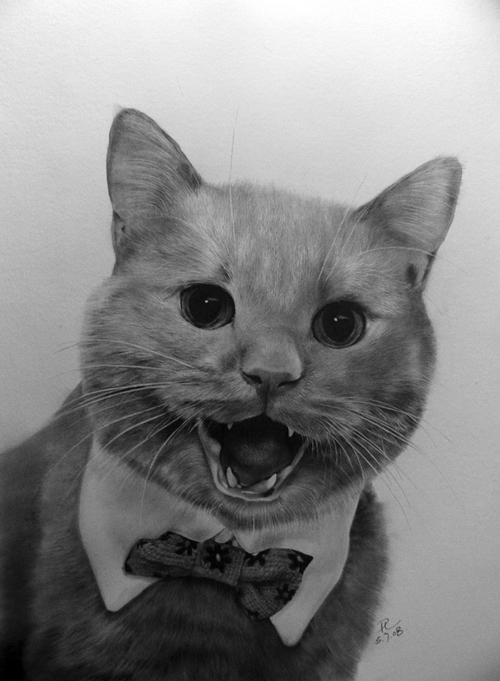 Pencil Sketches by Paul Lung