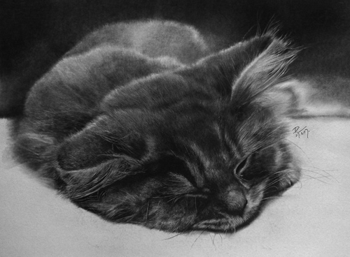 Pencil Sketches by Paul Lung