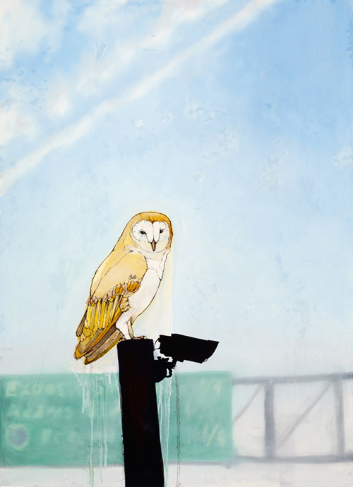 Wildlife Paintings by Sage Vaughn