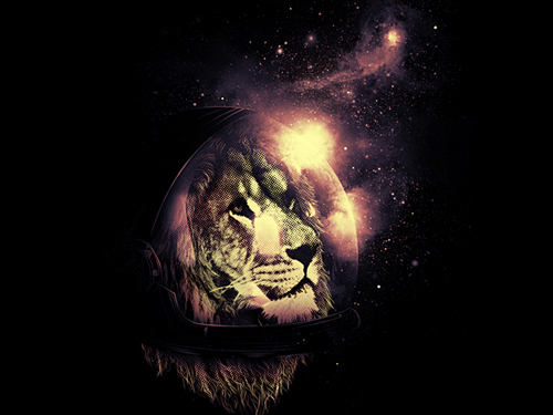 Stunning Illustrations by Nicebleed