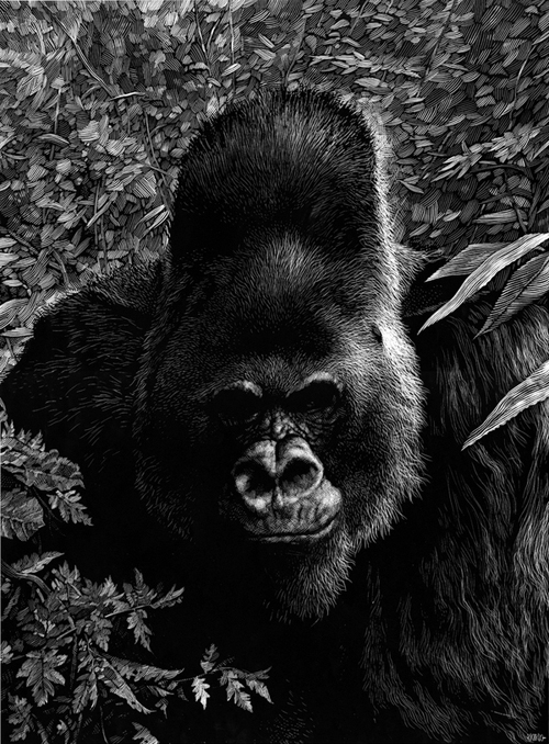 Satire and Animals by Ricardo Martinez Satire and Animals by Ricardo Martinez