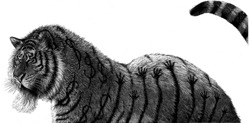 Satire and Animals by Ricardo Martinez Satire and Animals by Ricardo Martinez