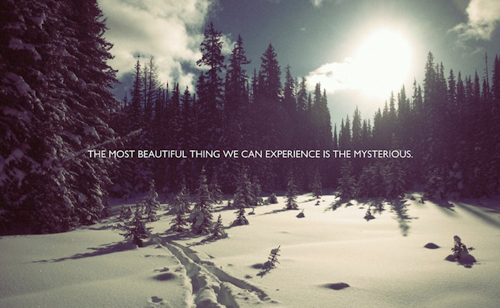 45+ Enlightening Quotes and Pieces of Advice 45+ Enlightening Quotes and Pieces of Advice