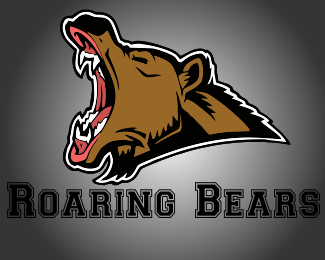 Bear Logo Designs Inspiration