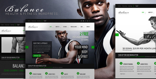Business WordPress Themes