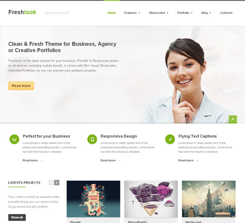 Premium WordPress Themes