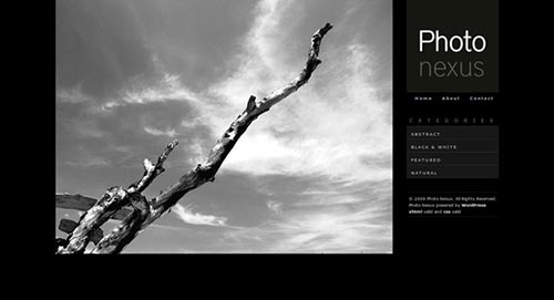 WordPress Themes powered by jQuery and Ajax