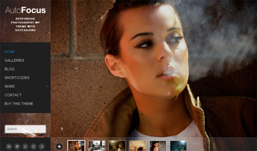 Premium WordPress Themes Premium WordPress Themes