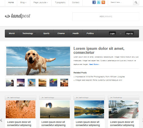 Premium WordPress Themes