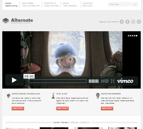 Premium WordPress Themes