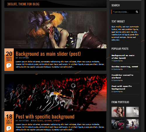 Premium WordPress Themes