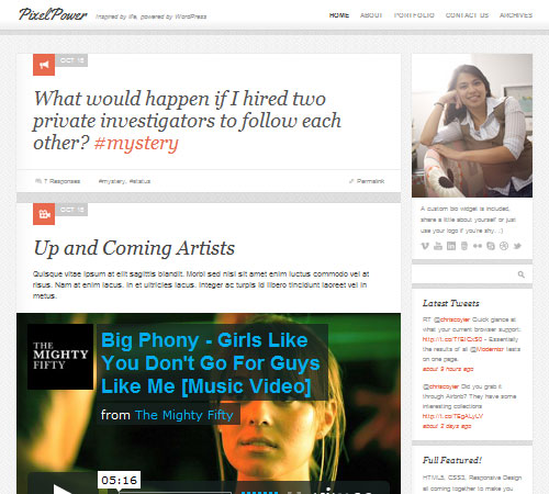 Premium WordPress Themes