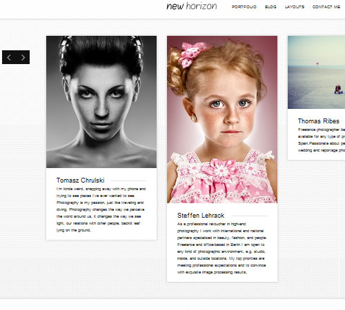 Premium WordPress Themes