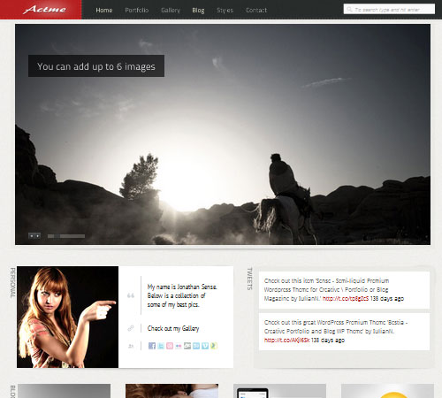 Premium WordPress Themes