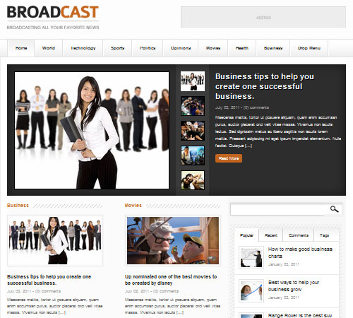 Premium WordPress Themes