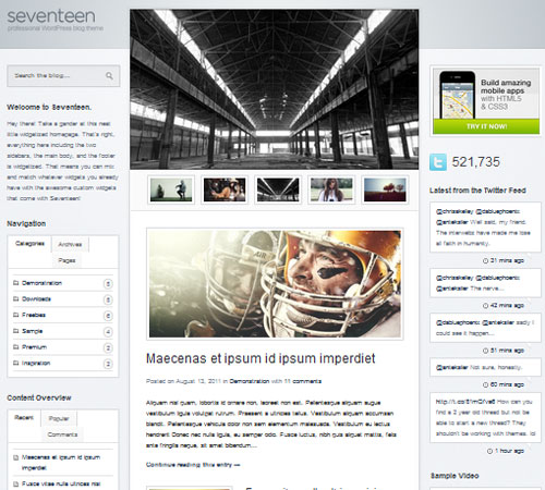 Premium WordPress Themes