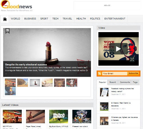 Premium WordPress Themes