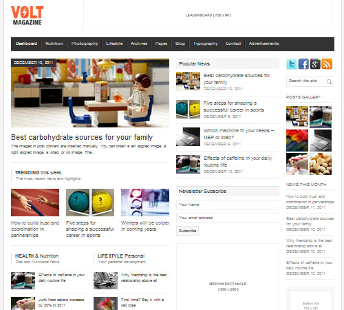 Premium WordPress Themes