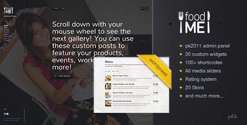 WordPress Themes