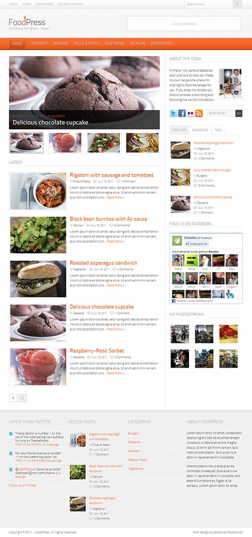 WordPress Themes