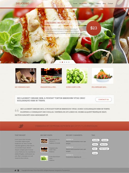 WordPress Themes