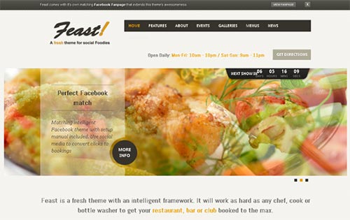 WordPress Themes