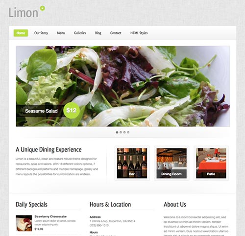 WordPress Themes