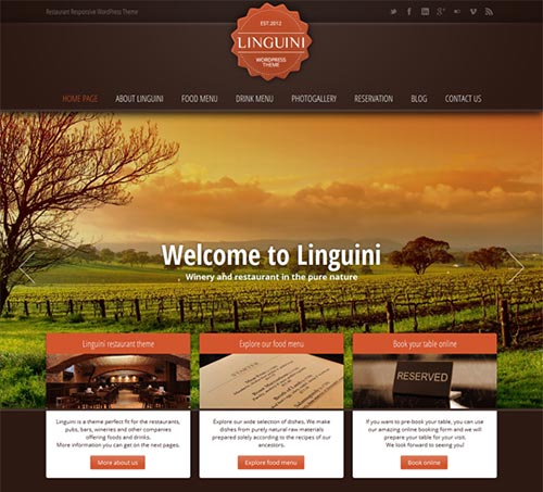 WordPress Themes