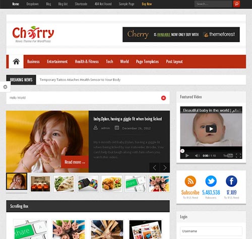Impressive WordPress Themes