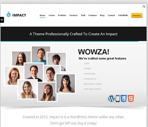 Impressive WordPress Themes